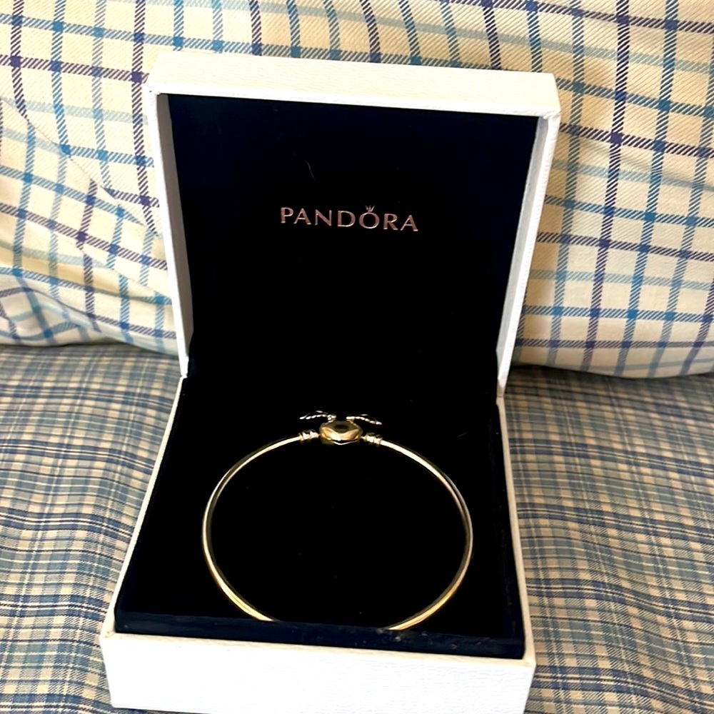 Great Holiday gift. New Pandora charm bracelet
